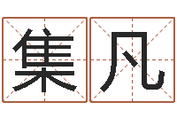 白集凡易理学家-姓名打分预测