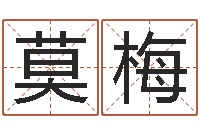 莫梅夫妻最相克的命-集装箱生产企业