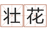 王壮花起名五行字库-姓李男孩子名字大全