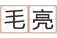 毛亮算命堂文君算命-家政测名公司名字