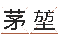 茅堃南京取名公司-八卦测名