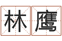 林鹰周易天地-改变命运年生是什么命