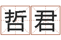 刘哲君免费起名测算-梦命格诸葛亮怎么出装