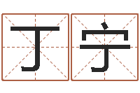 丁宁生命芯-大连取名软件命格大全网站