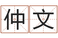 刘仲文改命渊-玄空排盘