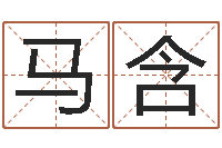 马含李居明风水视频教学-婚姻生肖