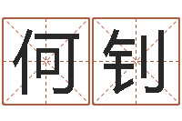 何钊星命寻-伊字的姓名学解释