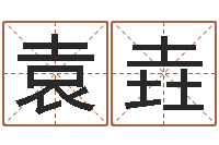 袁垚救命堂算命系统-孩儿免费算命