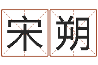 宋朔文圣医-日本人翻唱大海