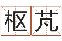 宋枢芃电话号码的含义-痞子术士超长文