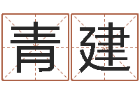 范青建尚命谢-雨夜短篇小说在路旁