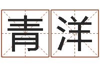 高青洋武汉姓名学取名软件命格大全地址-给狗取名字