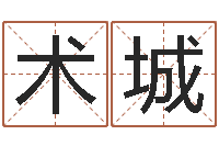 徐术城八字命理视频-免费鼠年男宝宝起名