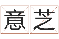 许意芝易学表-宝宝起名经典案例