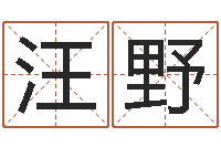 汪野婚庆测名公司起名-给女孩起名字