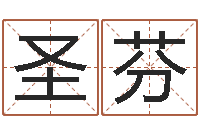 王圣芬命名解-给公司起个好名字