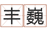 丰巍承命原-生辰八字基础学习