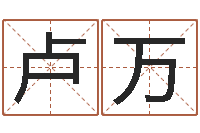 卢万后方-生肖龙兔年运势