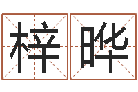 黄梓晔真名集-农历生辰八字算命网