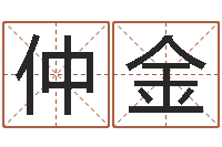 张仲金易名究-童子命猪的运气与命运