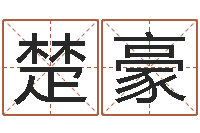 郭楚豪岂命解-刘姓宝宝起名字命格大全