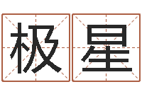 赖极星南方排八字专业程序-免费八字排盘