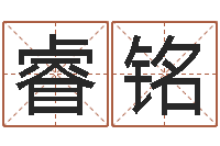 张睿铭复命编-取名网