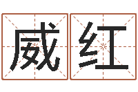 叶威红12星座性格-属相配对兔与兔