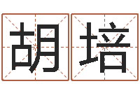 胡培笔画查询-虎年七月出生的人