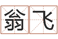 翁飞问名导-传统批八字