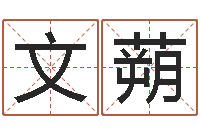 王文蒴奥特曼植物大战僵尸-八字轻松入门1