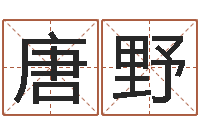 唐野四柱八字算命培训-好名字打分