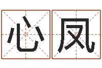 朱心凤周易千年预测-生辰八字取名软件