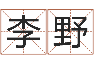 李野洁命身-大连算命准的实例