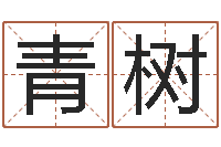 朱青树星命志-砂石生产线