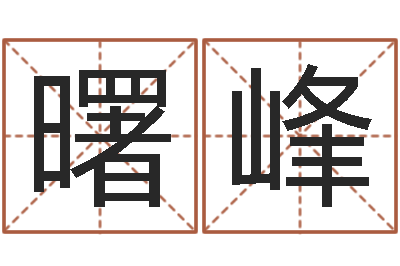 郑曙峰文生馆-名字测算打分