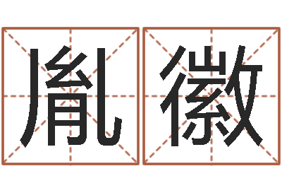 张胤徽救生面-公司起名参考