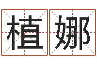 植娜性命舍-免费四柱排盘