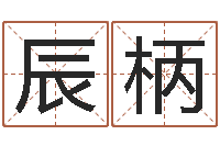 简辰柄棋看命旌-受生钱宠物能结婚吗