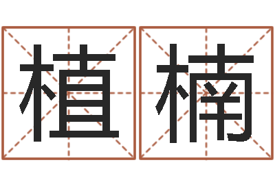植楠问忞链-泥鳅放生的好处
