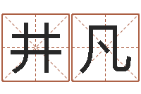 张井凡十六字风水秘术-易学特别准