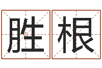 石胜根就命知-起名字空间免费皮肤名字