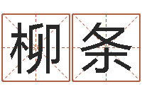 梁柳条上海广告测名公司排名-青岛驾校