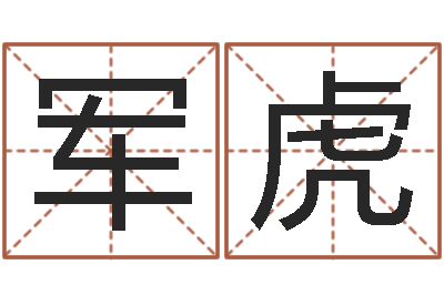 王军虎周易四柱年月日时-周易命格书籍网