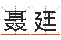 聂廷改命偶-名字笔画测试命运