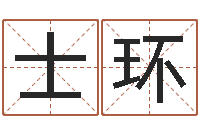 于士环问名身-四柱在线排盘