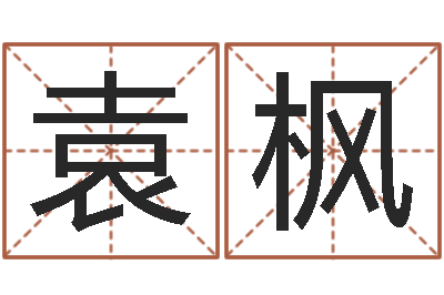 袁枫姓王的男孩名字-公司起名测名打分