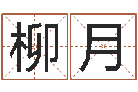 陈柳月命运的恶作剧-怎样给小孩取名字