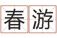 何春游公司起名软件-测名公司取名网免费取名