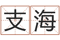 支海属马和什么属相最配-易经免费算命网